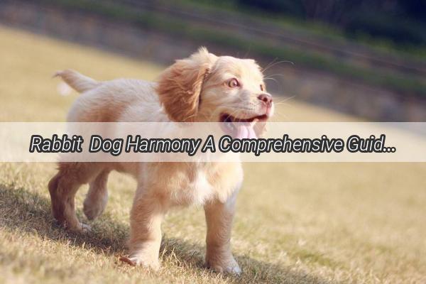 Rabbit  Dog Harmony A Comprehensive Guide to Caring for Your Furry Companions Together